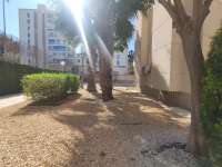 Venta - Piso - apartamento - A-ALICANTE CAPITAL - SAN JUAN PLAYA-GOLF ALICANTE