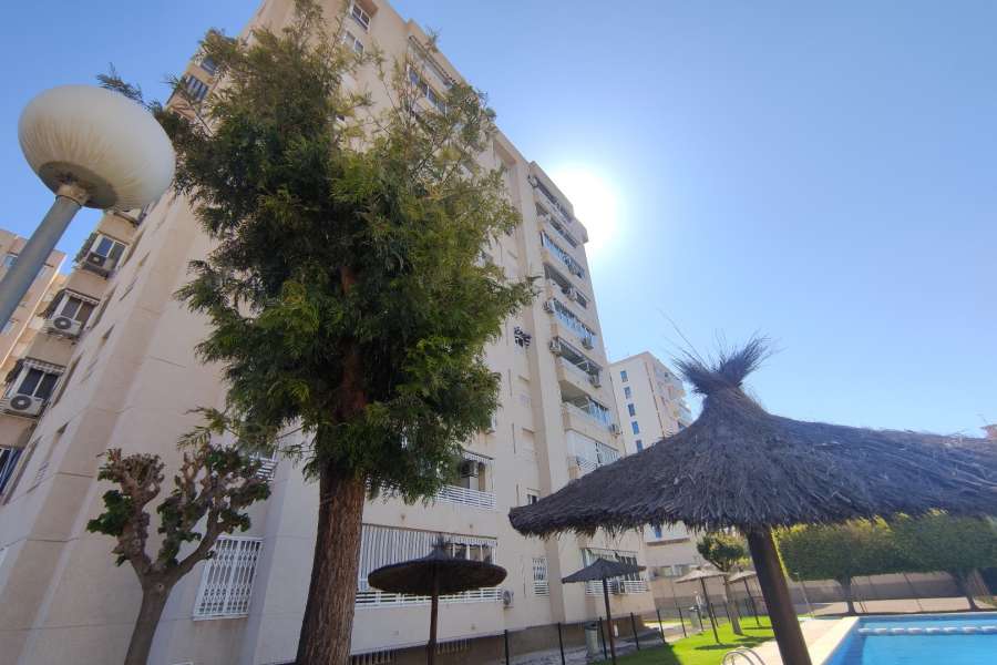 Venta - Piso - apartamento - A-ALICANTE CAPITAL - SAN JUAN PLAYA-GOLF ALICANTE