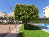 Venta - Piso - apartamento - A-ALICANTE CAPITAL - SAN JUAN PLAYA-GOLF ALICANTE
