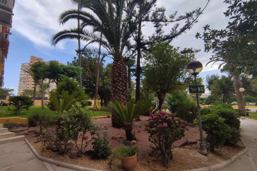 Venta - Piso - apartamento - A-ALICANTE CAPITAL - SAN JUAN PLAYA-CABO HUERTAS