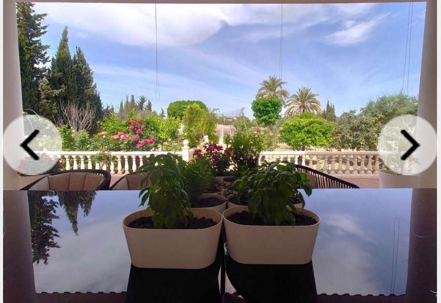 Venta - Chalet - Villa - Muchamiel - El Ravel