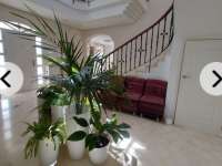 Venta - Chalet - Villa - Muchamiel - El Ravel