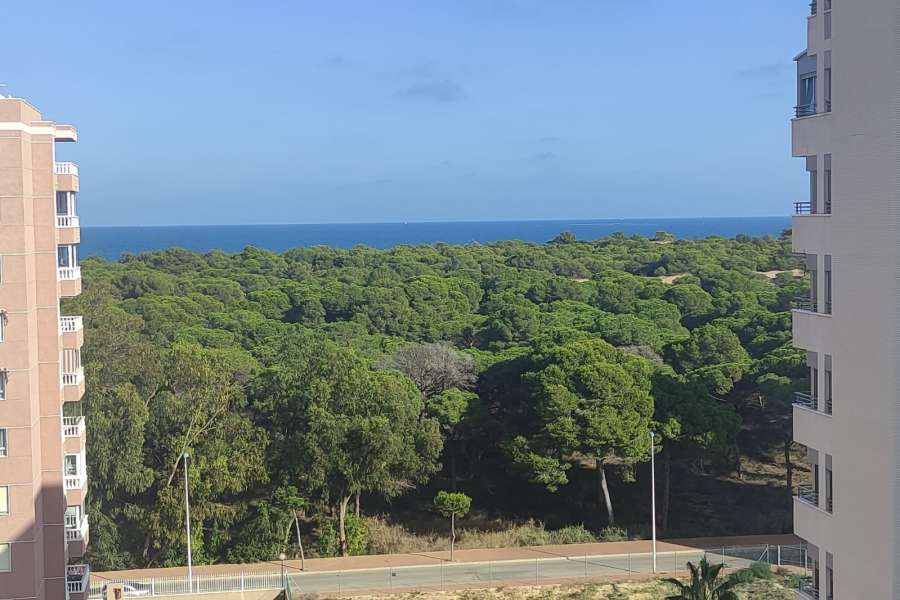 Venta - Atico - A-GUARDAMAR DEL SEGURA - Puerto MasyMas